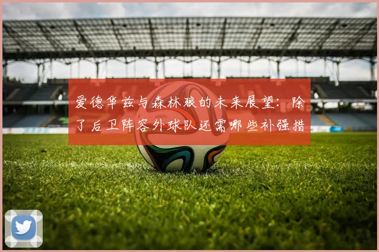 爱德华兹与森林狼的未来展望：除了后卫阵容外球队还需哪些补强措施