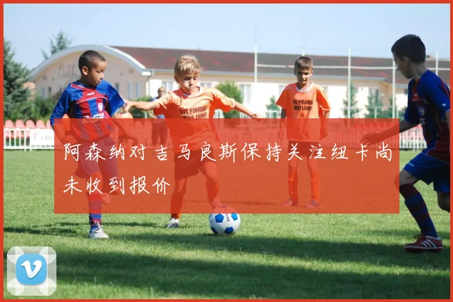 阿森纳对吉马良斯保持关注纽卡尚未收到报价